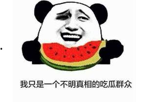 吃瓜群众一阵风是什么意思,揭秘网络热词背后的现象与思考