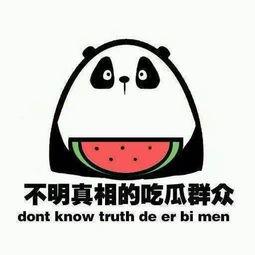 三名吃瓜群众,揭秘三名吃瓜群众的观瓜奇遇记”