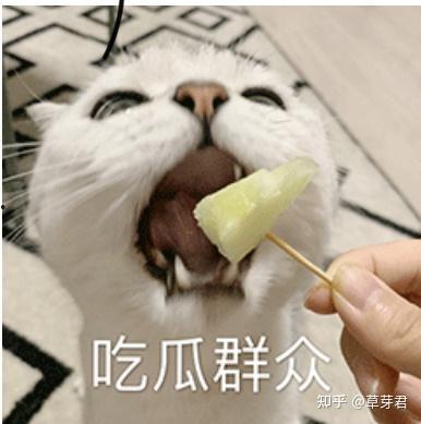 吃瓜群众评语怎么写,揭秘娱乐圈幕后真相