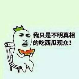 吃瓜群众的思路,吃瓜群众视角下的明星幕后故事