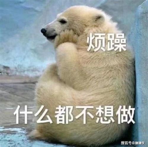 大型吃瓜群众图片搞笑版,搞笑版图片集锦