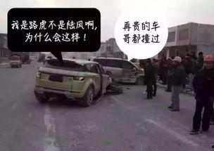 吃瓜群众的车,揭秘汽车界的“网红”与“爆款”