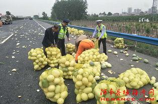 tank吃瓜群众,吃瓜群众的趣味解读