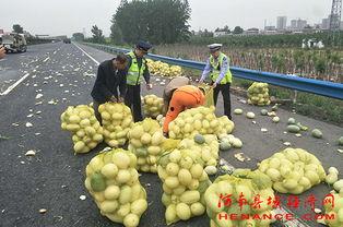 河间吃瓜群众,揭秘民间热点背后的故事