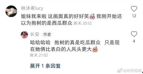 吃瓜群众沈某某小说,瓜田里的秘密与奇遇