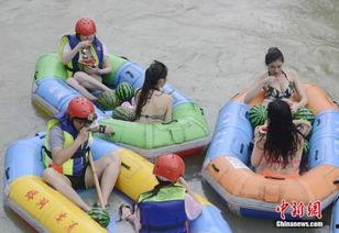 关于群众吃瓜的故事,群众吃瓜背后的故事