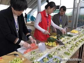 章丘吃瓜群众事件,一场网络舆论的风暴与反思