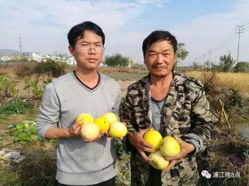 吃瓜群众沂源,揭秘当地热点事件背后的真相