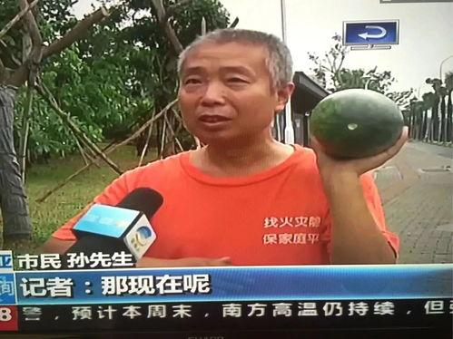 工作中要当个吃瓜群众,如何优雅地当个吃瓜群众