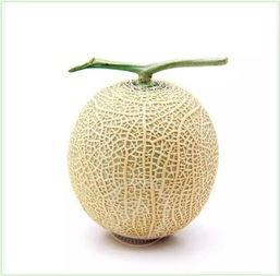 瓦窑吃瓜群众是谁,网络红人的崛起与影响力