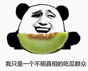 她会当吃瓜群众意思,闲庭信步，笑看风云，化身吃瓜群众